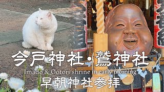 【神社巡り】今戸神社と鷲神社へ早朝参拝。幸せを運ぶ白猫なみちゃんとなでおかめ