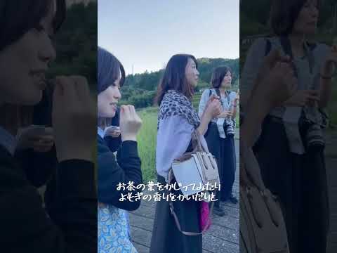 【農泊女子旅その1】日本のピラミッド！？岐阜の棚田に行ってみた