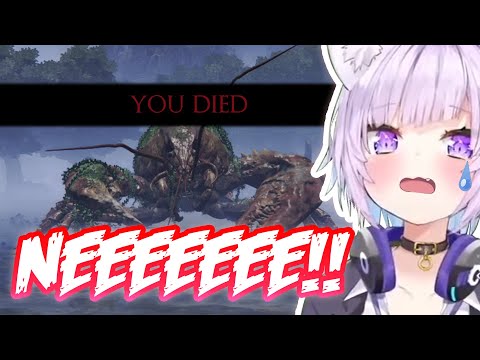 Okayu Gets Bullied by Giant Lobsters in Elden Ring