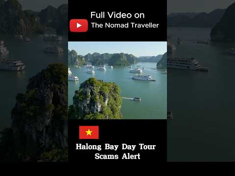 Halong Bay Tour Vlog and Guide #halongbay #halongbaytour