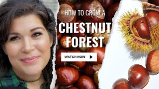 Discover the Benefits of Planting a Chestnut Tree