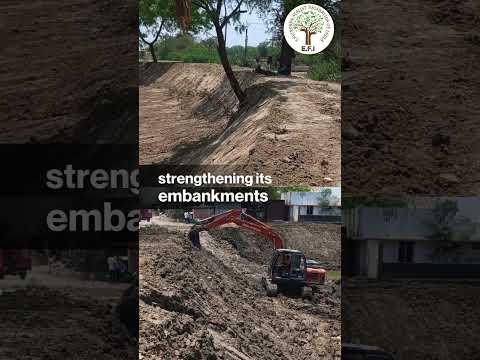 EFI Vadodara - Dumad Virod Lake Restoration #Shorts #Water #lakerestoration #Conservation #vadodara