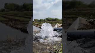 #farmer #farming #nature #love #marathi 🌾💦#shetkari #शेती