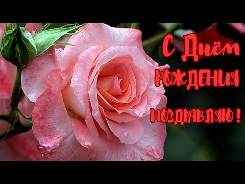 Сердечное поздравление С Днем Рождения Музыкальная открытка