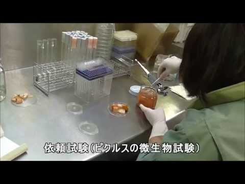 微生物検査の様子NK05【農産物加工研究所】