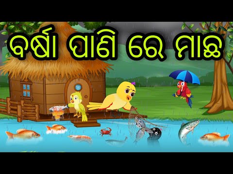 ବର୍ଷା ପାଣି ରେ ମାଛ | Barsha Pani Re Machha | Tiki Chadhei Gapa | Odia Chadhei Gapa | New Story