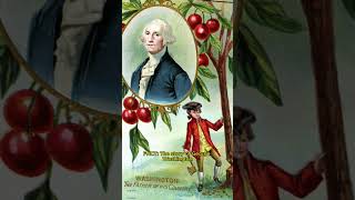 Mount Vernon - Myths and Facts (Part 1) #facts #myths #mountvernon