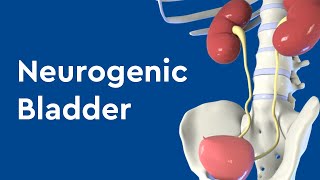 Neurogenic Bladder