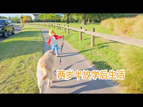 两岁半娃娃放学后的快乐生活｜ft.Temu