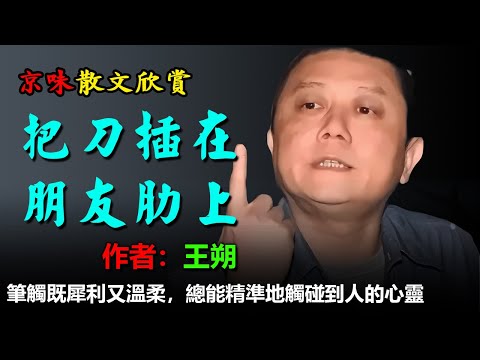 💥王朔的散文欣赏：1.燦爛的文明在哪兒、2.像豬而生、3.煩胡同、4.這孩子出息、5.有一老頭90多  #散文 #散文朗读  #讀書 #听书 #聽書 #小說 #小说 #有声书 #有聲書