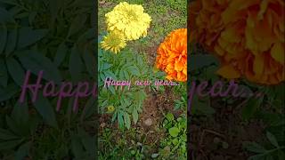 #happy new year video#new year craft video#new year special gift making video#shorts viral