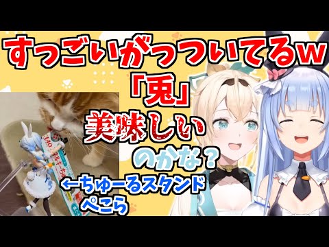 ちゅーるスタンドになってしまい食べられてしまう兎田ぺこら【ホロライブ 切り抜き/兎田ぺこら/風真いろは】