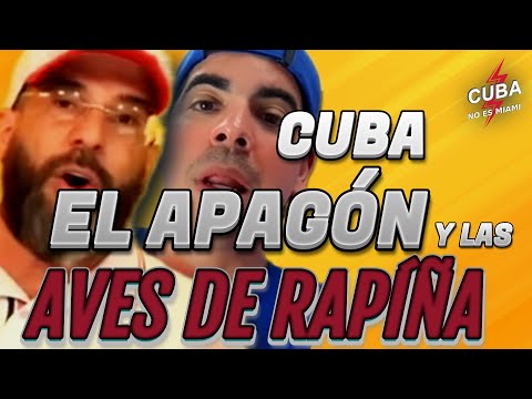 💥El apagón y las aves de rapiña. Míralo tú mismo...