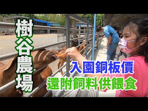 豪豪遊台灣-台南市新市區-樹谷農場