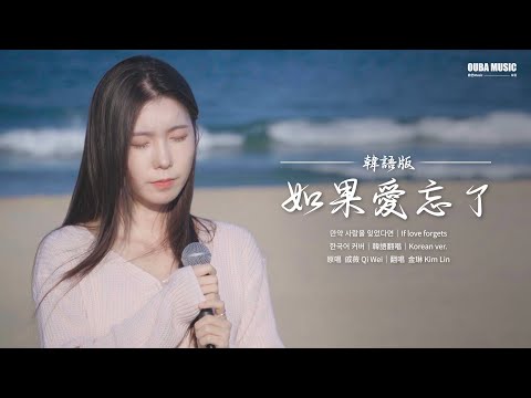 韓國人用韓語翻唱《如果愛忘了사랑을 잊는다면》｜金琳 Kim Lin｜OUBA MUSIC