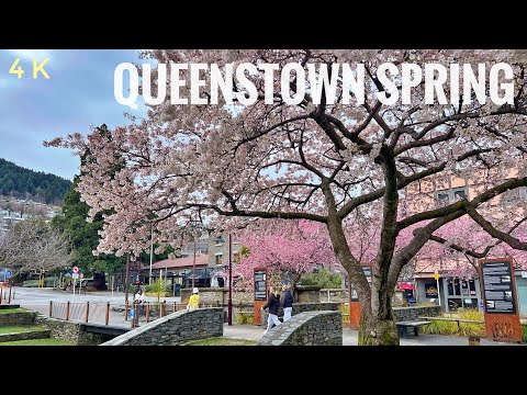 Queenstown Spring Morning Walk 2024 4K | Town Centre | Queenstown Gardens | New Zealand Walking Tour