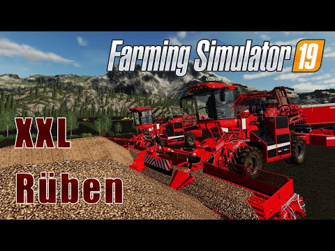 FS19 - XXL Farm Rüben lagern - Auf dem Berg?! MULTIPLAYER | Timelapse | Felsbrunn