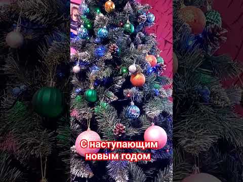 С Наступающим Новым Годом #shortvideo #снаступающимновымгодом2024