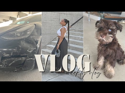 WEEKLY VLOG | Getting A Puppy, Car Accident, Scammer Story Time, etc