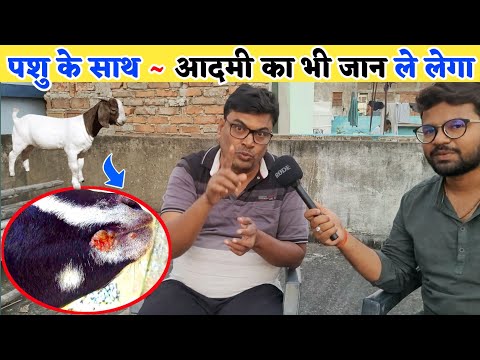 नजरअंदाज ना करें ~ बहुत खतरनाक है यह बीमारी | FMD disease treatment