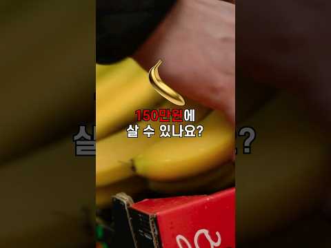 150만원짜리 바나나 #shorts #banana