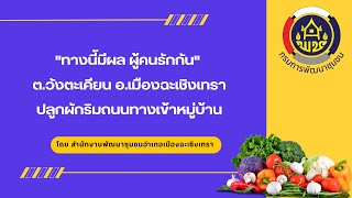 "ทางนี้มีผล ผู้คนรักกัน" ต.วังตะเคียน อ.เมืองฉะเชิงเทรา ปลูกผักริมถนนทางเข้าหมู่บ้าน