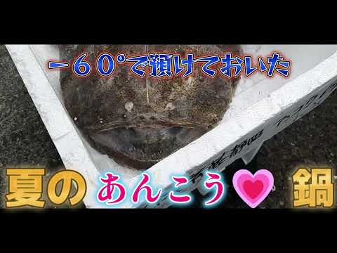 －６０°で凍らしたアンコウをさばいてみた　　　　　　　　　　　　　#あんこう　　　　　　　　　　　#魚　　　　　　　　　　　　　　#シビリアンで鍋　　　　　　　　#バスコンで鍋　