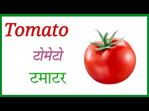 Vegetables name सब्जियों के नाम vegetables name English and Hindi सब्जियों के नाम हिंदी और अंग्रेजी