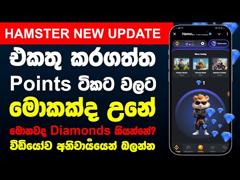 Hamster Season 1 Is Over | Hamster Kombat New Update | Hamster Kombat Airdrop Update Sinhala