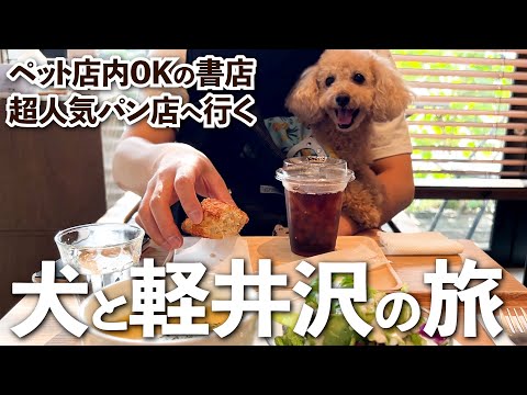 【犬とお出かけ】軽井沢のペット店内OKの書店が期待以上だった【大きいトイプードルのわこ】