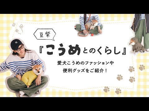 柴犬こうめとのくらし 愛犬こうめのファッションや便利グッズをご紹介！