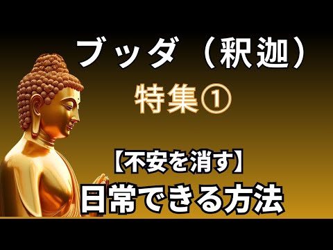 📚 【不安が消える！】日常生活で実践できるブッダの教え 🎥