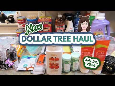 Fun Dollar Tree Haul! Wish List Finds!! July 22, 2024