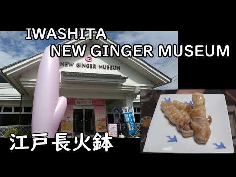 Iwashita's new ginger[Japanese food at "NAGA-HIBACHI"]