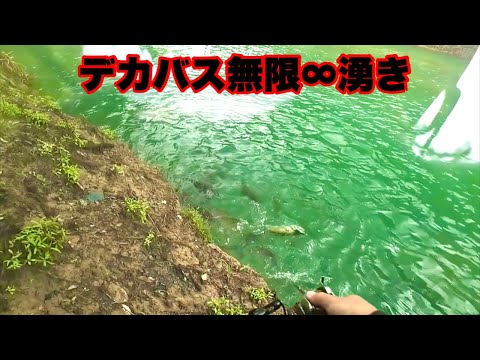 ゲリラ豪雨の直後に釣りに出かけたら凄い光景を見ることが出来ました