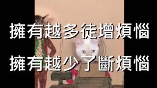 【奧麗佛身心靈成長開發中心】奧麗佛語錄 20190830