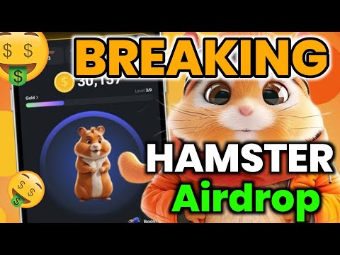 Hamster Kombat Airdrop Big Update💸Hamster Kombat Breaking news Today🔥Hamster Kombat Today Update