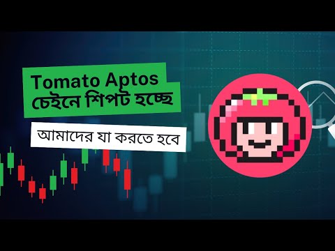 Tomarket Aptos চেইনে লঞ্চ হচ্ছে। ‍যা না করলে পেমেন্ট পাবেন না। Tomarket important update.