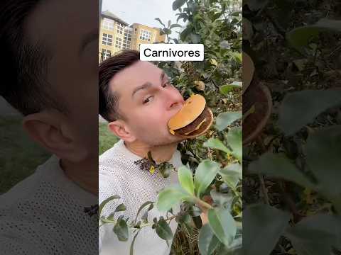 The Tree Burger🍔🤣