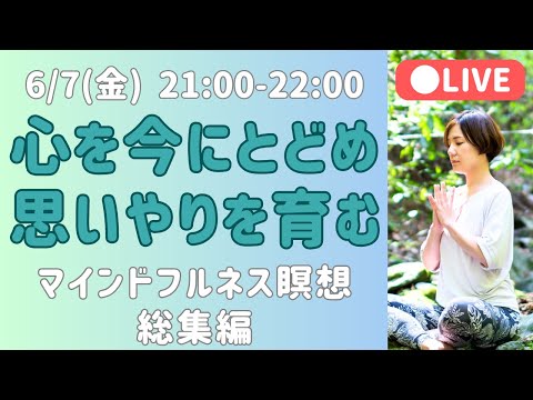 全体公開【LIVE瞑想】集中・観察・慈悲のマインドフルネス３本柱の実践