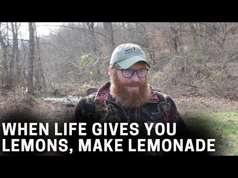 When Life Gives You Lemons, Make Lemonade