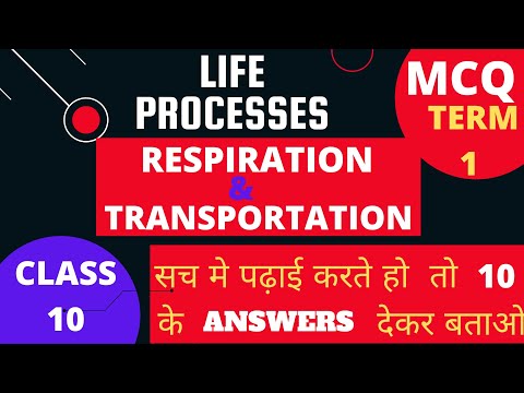 Life Processes MCQ | Respiration & Transportation MCQ | Cbse Class 10 Ch 6 MCQ By Fraz Khan