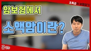 암보험에서 소액암이란?