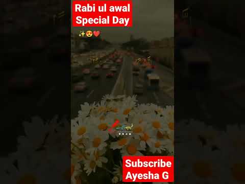 Beautiful Status || What's App status|| Rabi ul Awal