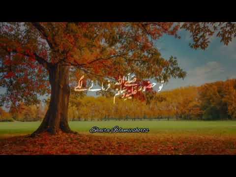 Hazrat Umar Farooq R.A Farmate Hai 🥀 | Islamic WhatsApp Status |