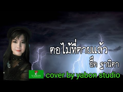 ตอไม้ที่ตายแล้ว [Cover by YABON & อี๊ด] เพลงนี้้ทำขึ้นเพื่ออนุรักษ์