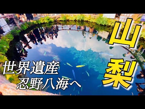 【山梨旅行】忍野八海に行ってきました！