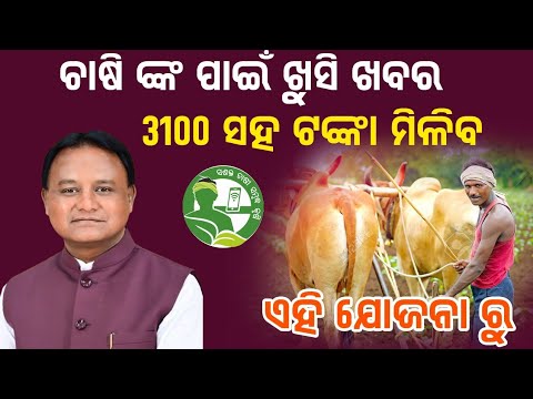 Odisha Govt Lunch New Scheme For Farmers 3100 Transfer Bank Account For Farmers//    #surajactor