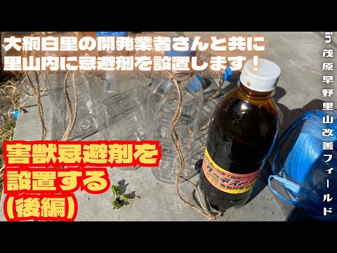 害獣忌避剤を設置する(後編)【里山再生・土壌改善・開拓型農業アクティビティ里山体験受付中】