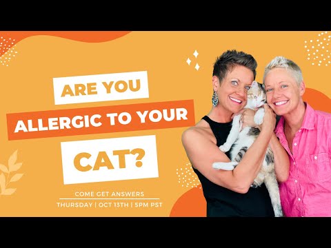 Allergic To Cats? Here's The Solution. | Two Crazy Cat Ladies